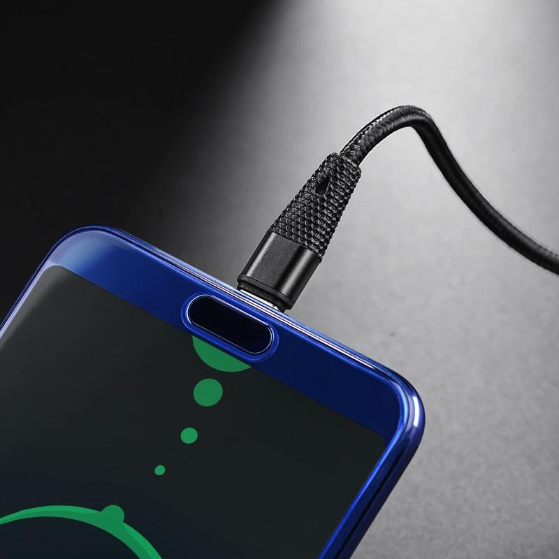 Câble USB vers USB-C BU10 Pineapple