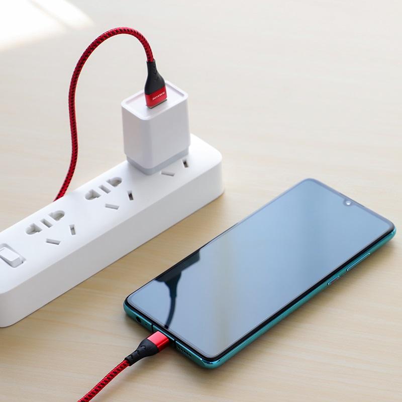 Câble USB vers USB-C BU11 Tasteful